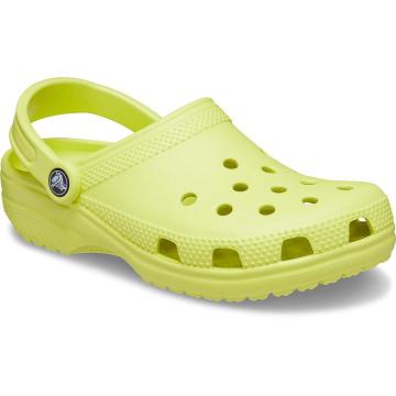 Crocs Klassiska Clog Sandals Skor Herr Gröna | Sverige 0703QMAZ